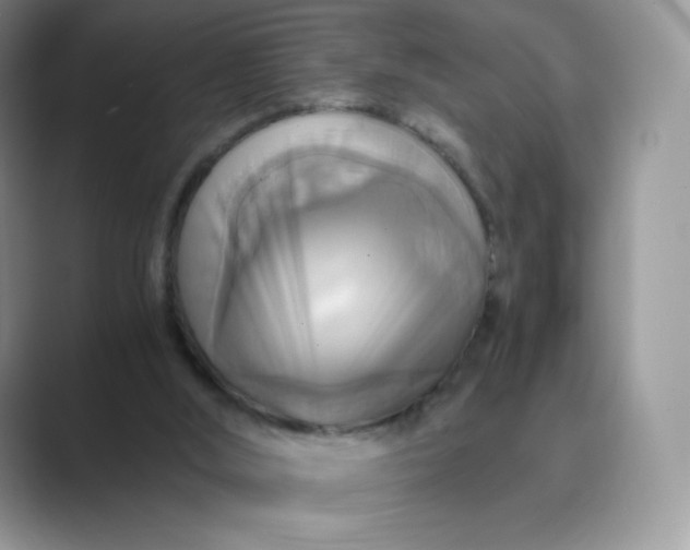 X0000089730012200707051747