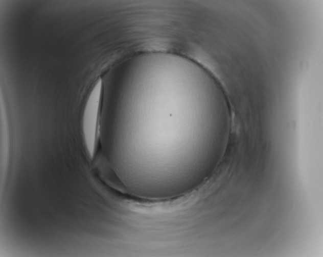 X0000089730013200707051747