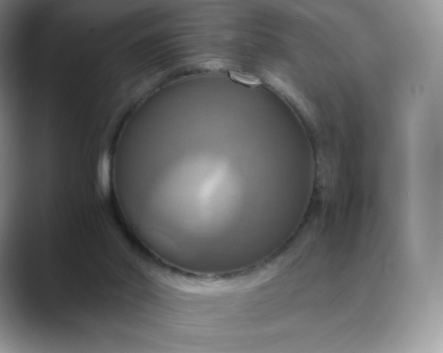 X0000089730014200707051747