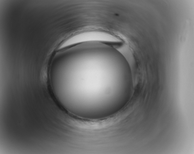 X0000089730015200707051747