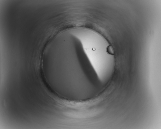 X0000089730018200707051747