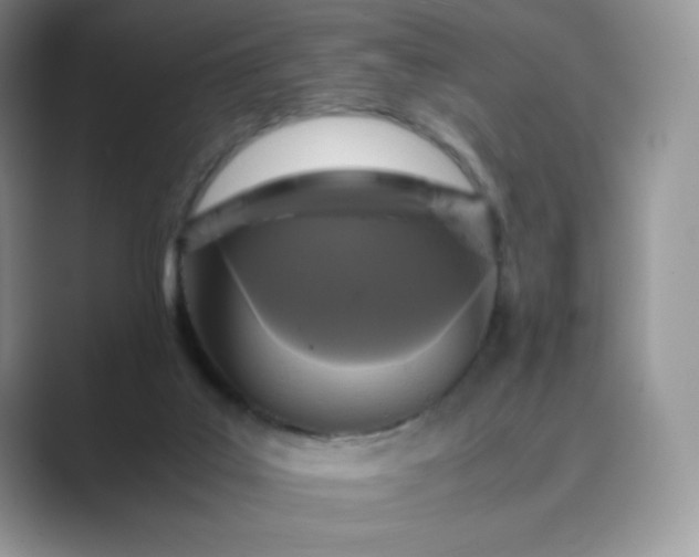 X0000089730019200707051747