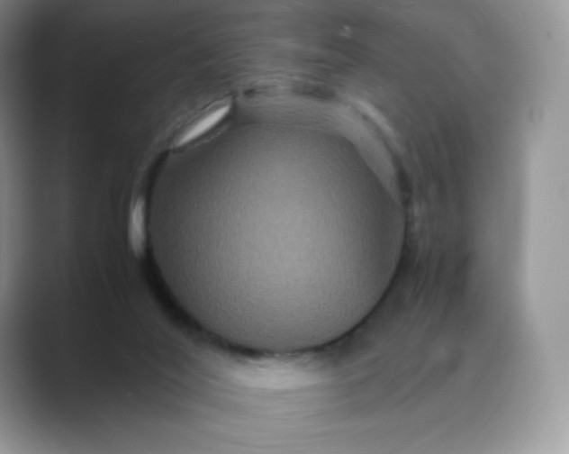 X0000089730020200707051747