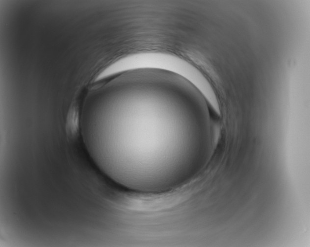 X0000089730021200707051747
