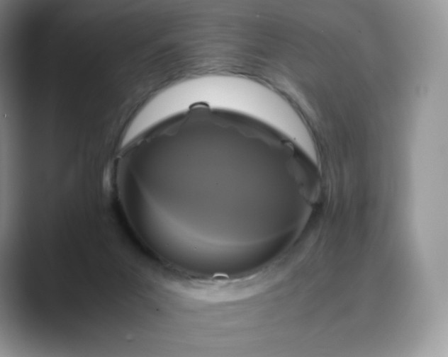X0000089730023200707051747