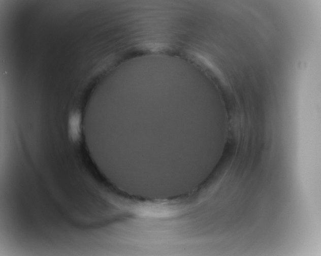 X0000089730024200707051747