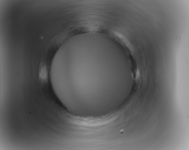 X0000089730026200707051747