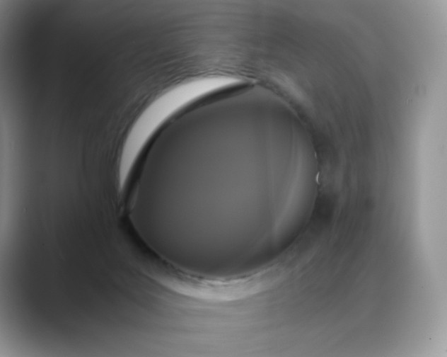 X0000089730027200707051747