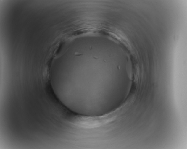 X0000089730029200707051747