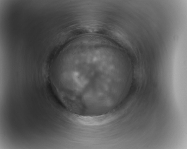 X0000089730030200707051747