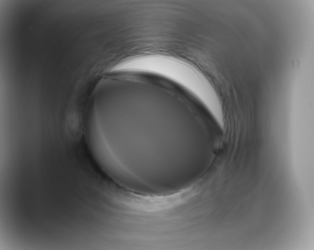X0000089730031200707051747