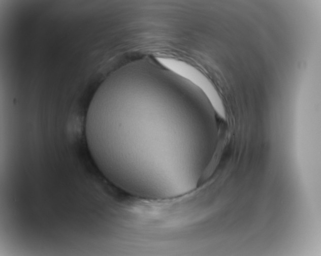 X0000089730033200707051747