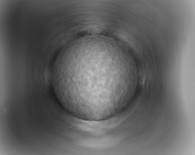 X0000089730034200707051747