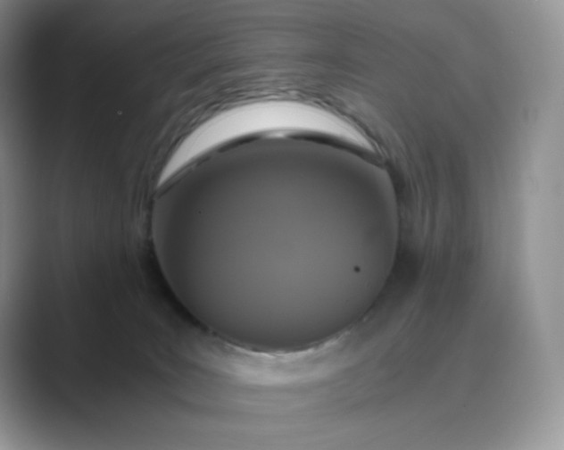 X0000089730035200707051747