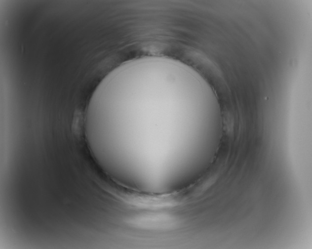 X0000089730036200707051747