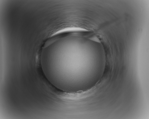 X0000089730037200707051747