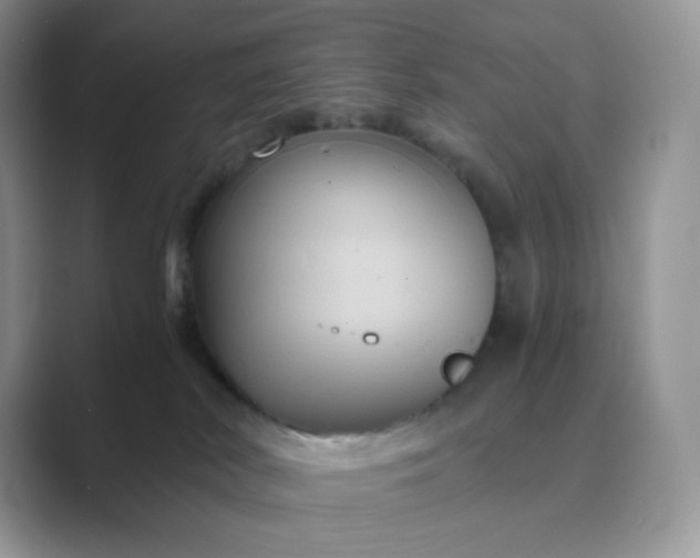 X0000089730038200707051747