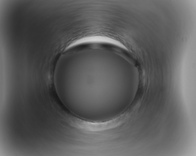 X0000089730039200707051747