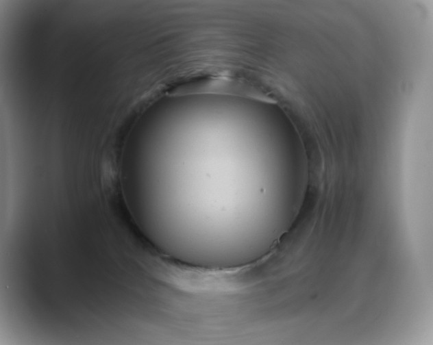 X0000089730040200707051747