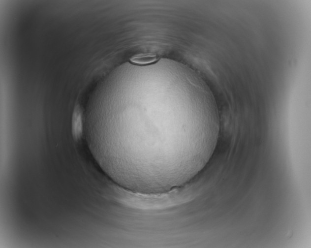 X0000089730042200707051747