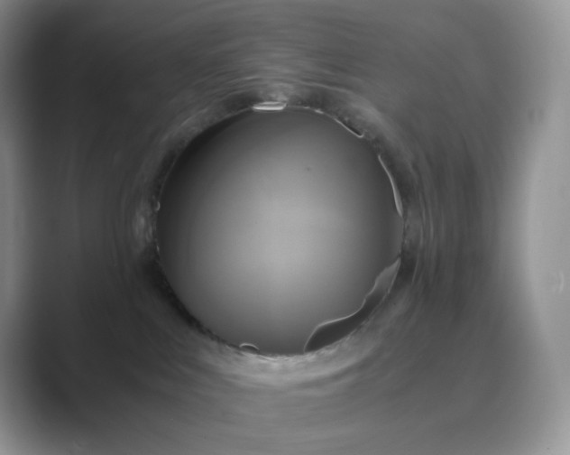 X0000089730043200707051747