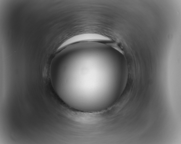 X0000089730044200707051747