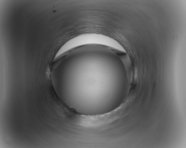 X0000089730045200707051747