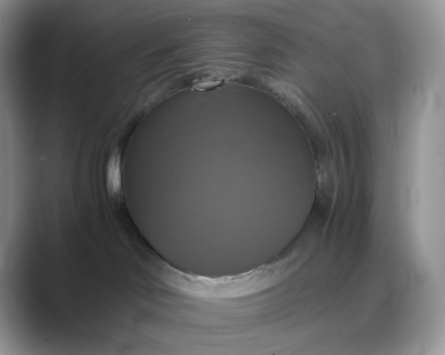 X0000089730046200707051747