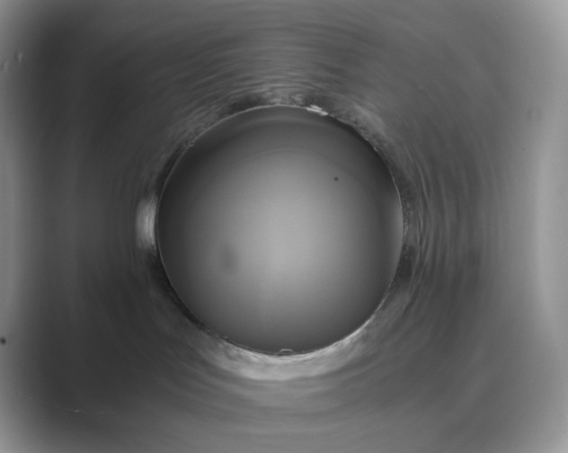 X0000089730047200707051746