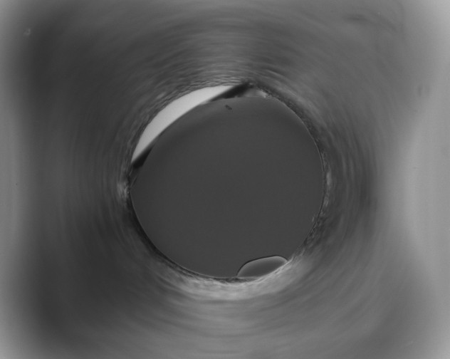 X0000089730048200707051746