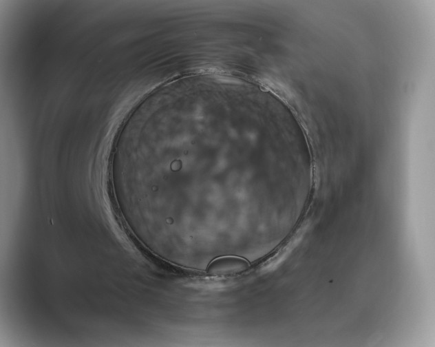 X0000089730049200707051746