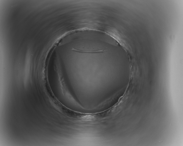 X0000089730050200707051746