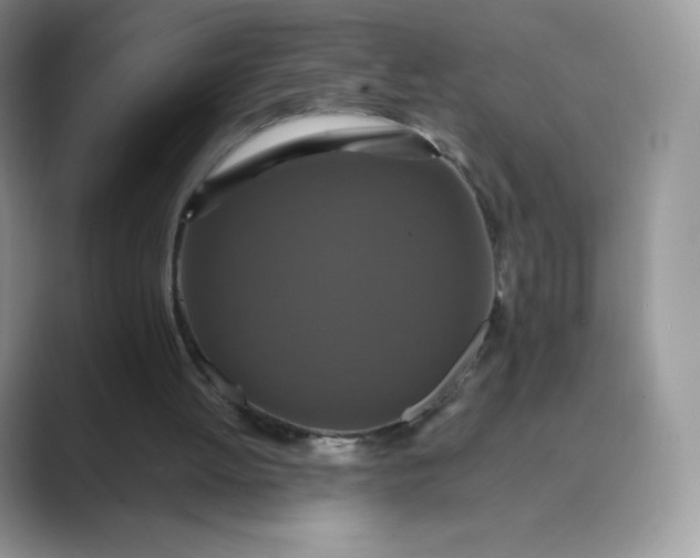 X0000089730052200707051746