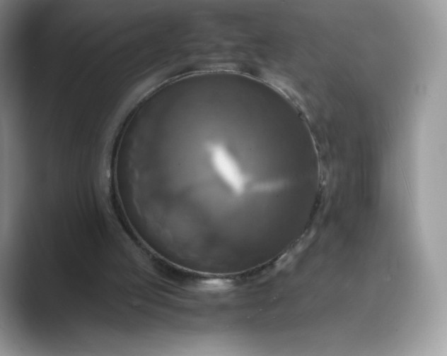 X0000089730053200707051746