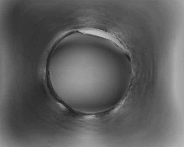 X0000089730054200707051746