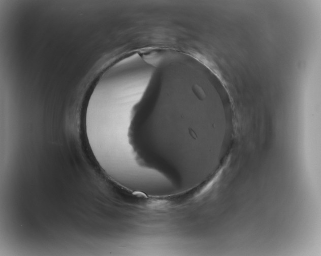 X0000089730055200707051746