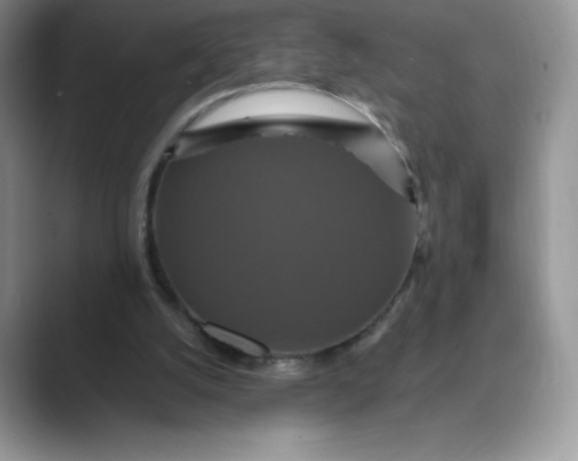 X0000089730056200707051746