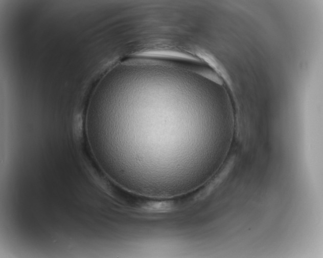X0000089730057200707051746