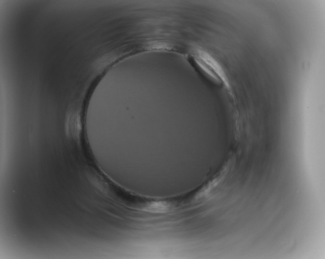 X0000089730059200707051746