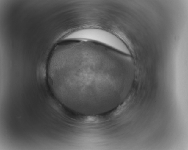 X0000089730060200707051746