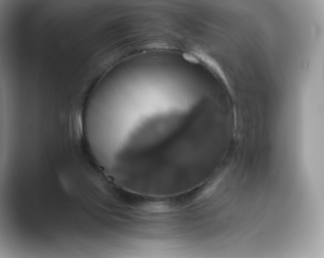 X0000089730061200707051746