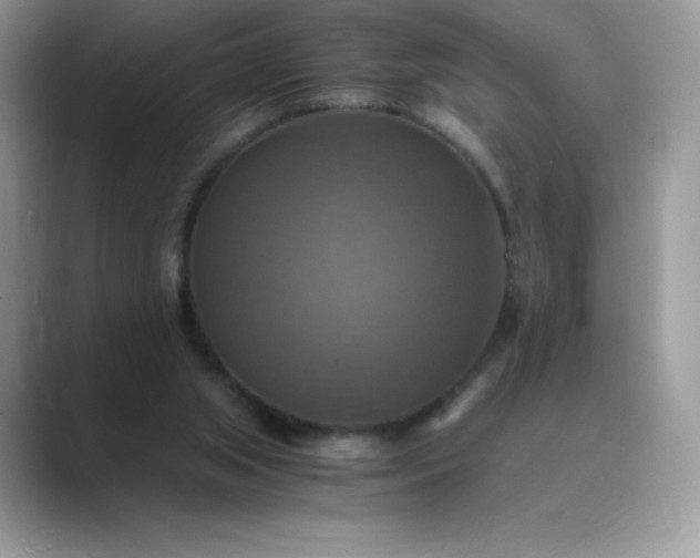 X0000089730063200707051746