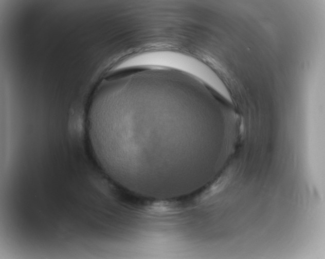 X0000089730064200707051746
