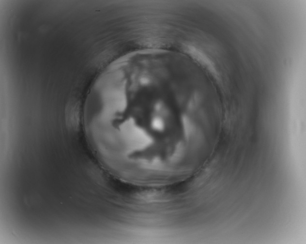 X0000089730065200707051746