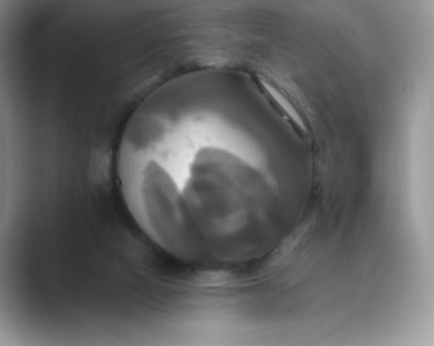 X0000089730066200707051746