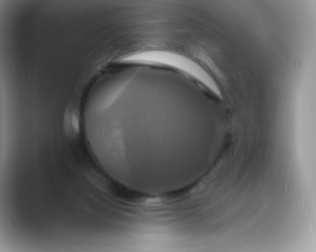 X0000089730068200707051746
