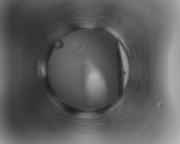 X0000089730069200707051746