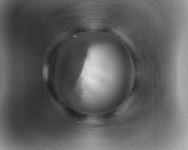 X0000089730070200707051746