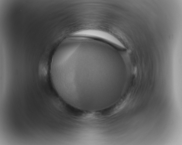 X0000089730072200707051746