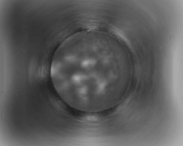 X0000089730073200707051746